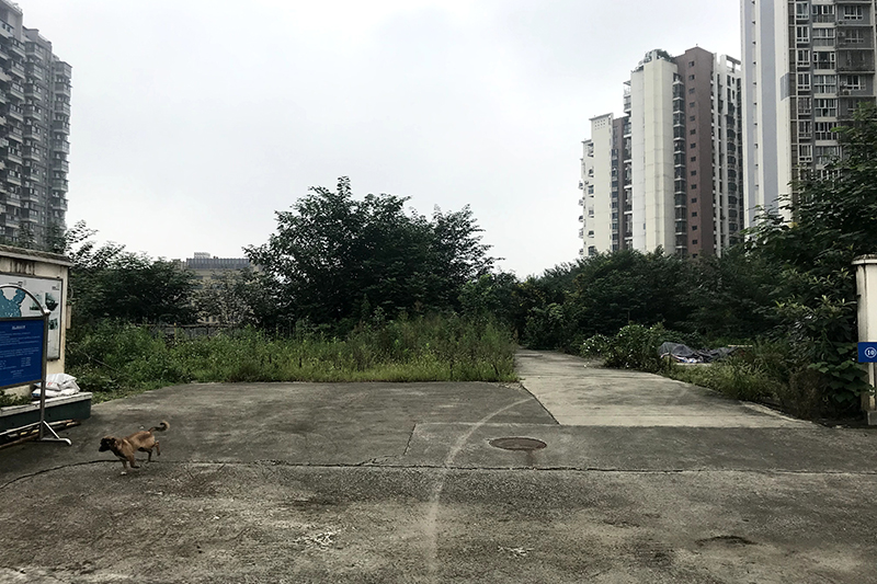 微信圖片_2021052611284618.jpg